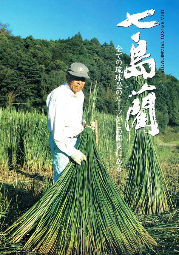 琉球畳原草