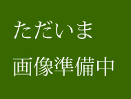 セキスイ美草　目積織ゾウゲ