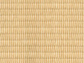 黄金色ｘ白色色