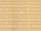 黄金色ｘ白色色